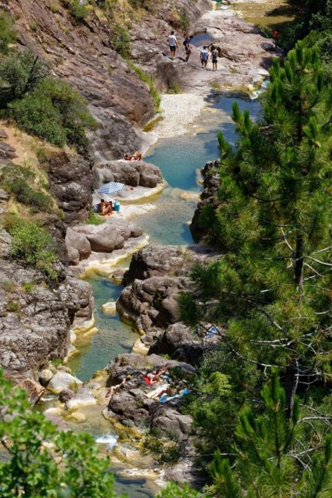La Salamandre Holiday home